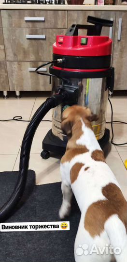 Химчистка дивана, мягкой мебели и ковров