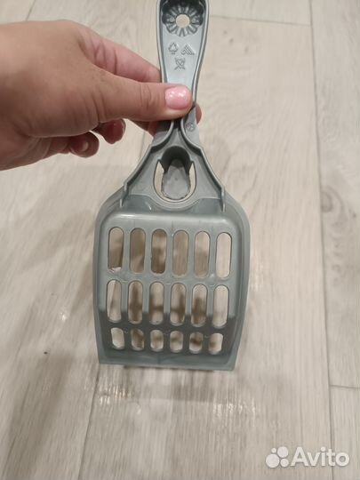 Совок кошачий