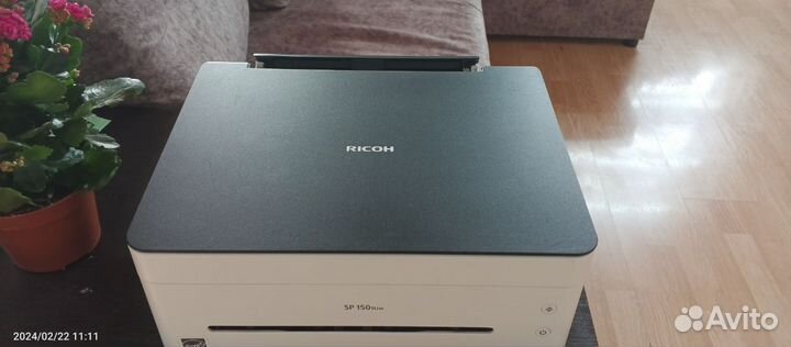 Мфу Ricoh SP 150SUw