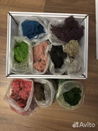 Мох для поделок