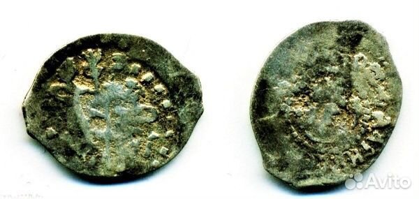 Чешуя удельная Темный нечастая