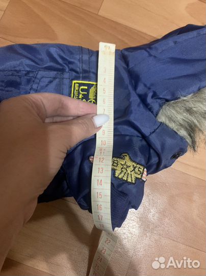 Одежда для собак