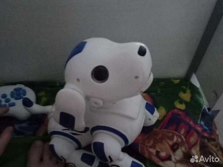 Собака робот