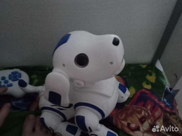 Собака робот