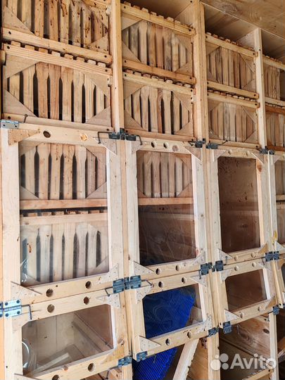 Павильон для пчёл