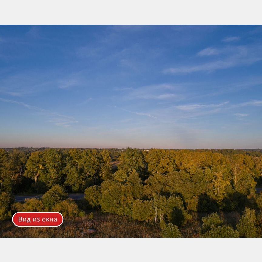 Квартира-студия, 21,8 м², 8/11 эт.