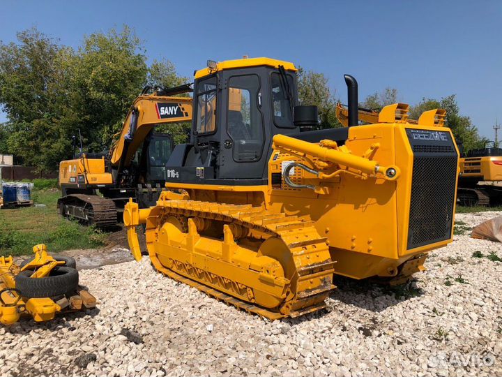 Beezone D16-5, 2022