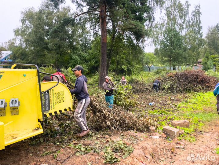 Расчистка участка / спил деревьев Сергиев Посад