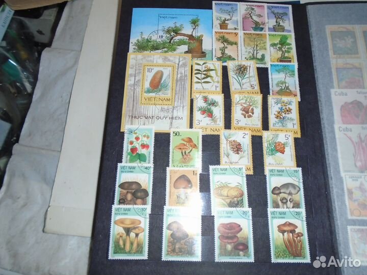 Марки куба вьетнам монголия 1980 года