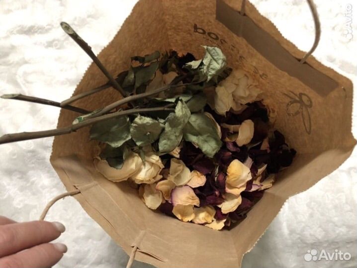 Лепестки роз