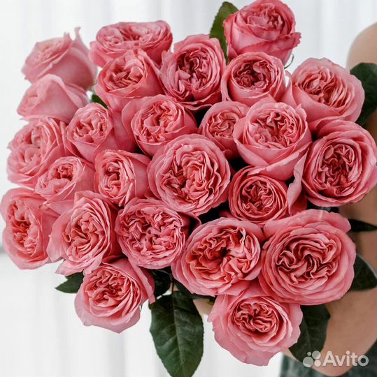 Пионовидная роза букет доставка самовывоз