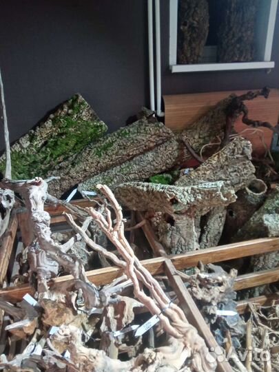 Цилиндры из коры пробкового дуба