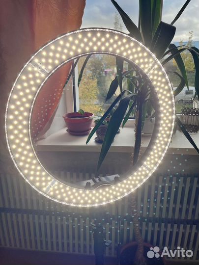 Кольцевая лампа 500мм