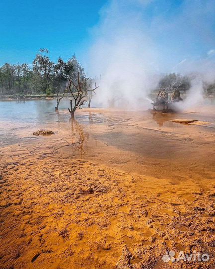 Тур в Абхазию