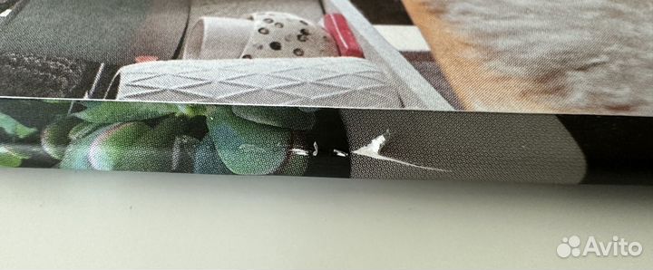 Книга Urban Jungle