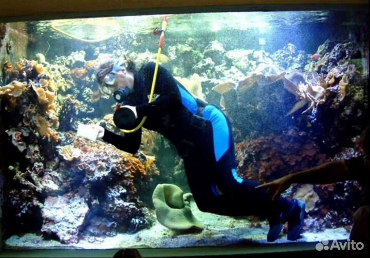 Обслуживание аквариумов