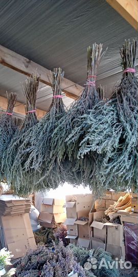 Крымские травы 2023