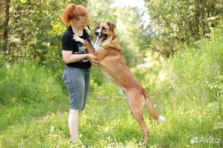 Джексон в поисках дома