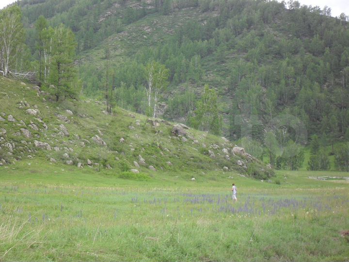 Участок 10 га (СНТ, ДНП)