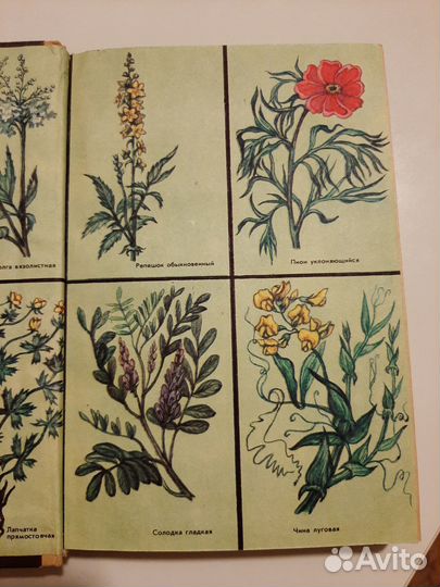 В.П.Махлаюк 