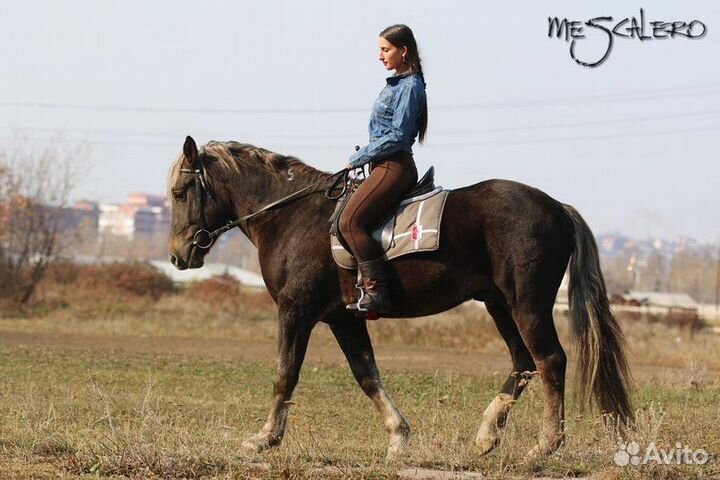 Конные прогулки и фотосессии,подароч-сертификаты