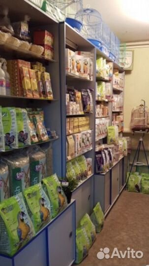 Попугаи Корелла