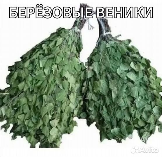 Свежие березовые веники