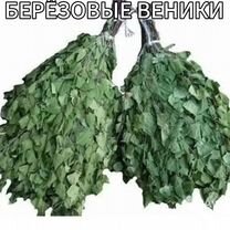 Свежие березовые веники