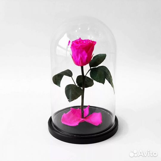 Роза в колбе. Стоит до 8 лет
