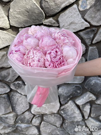 Пионы Букет пионов