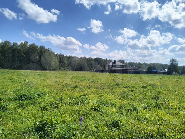 Участок 25 сот. (ИЖС)