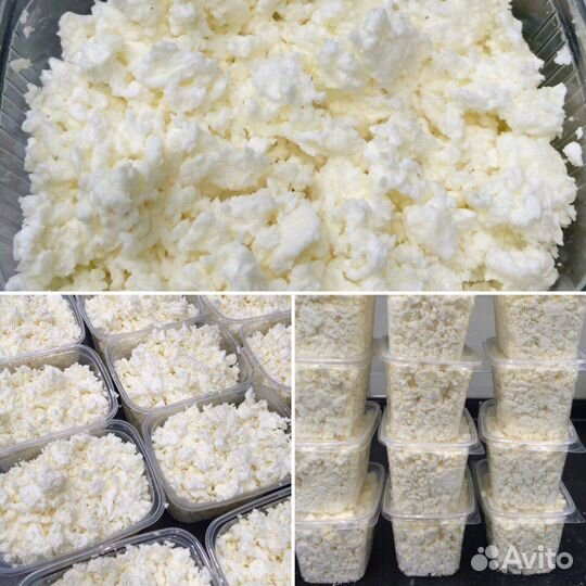 Творог домашний мелким оптом