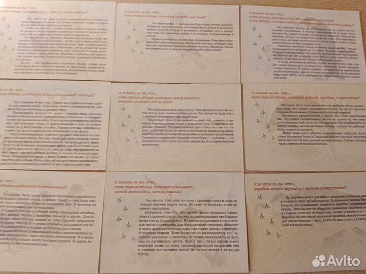 Набор открыток 