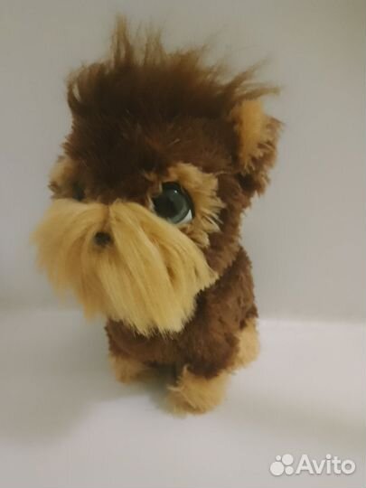 Интерактивная собака