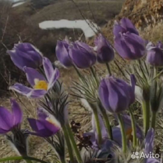 Аркаим. Экскурсионный трехдневный тур
