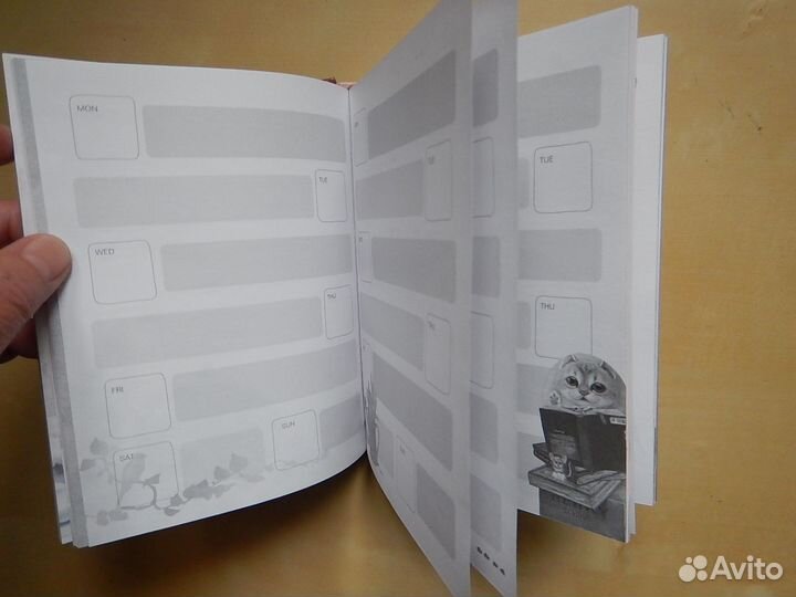 Блокнот для девочки Henry Cats