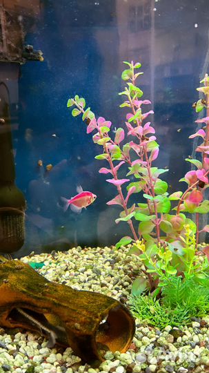 Морской аквариум 450 л