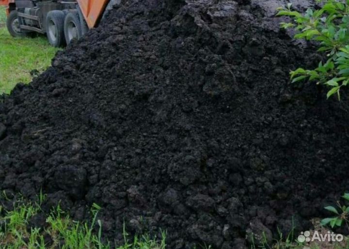 Торф низинный