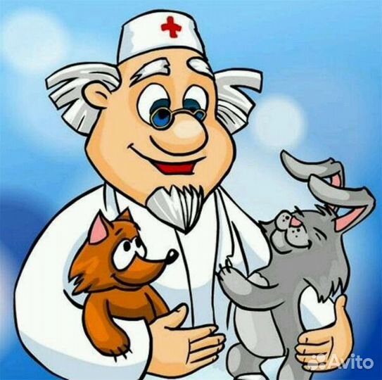 Ветеринарный врач выезд на дом