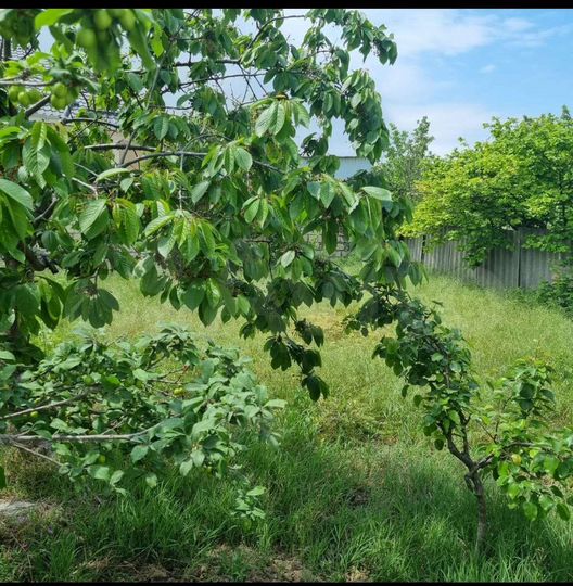 Дом 150 м² на участке 4,5 сот.