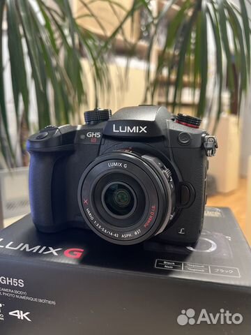 Фотоаппарат Panasonic Lumix DC-GH5S kit 14-42