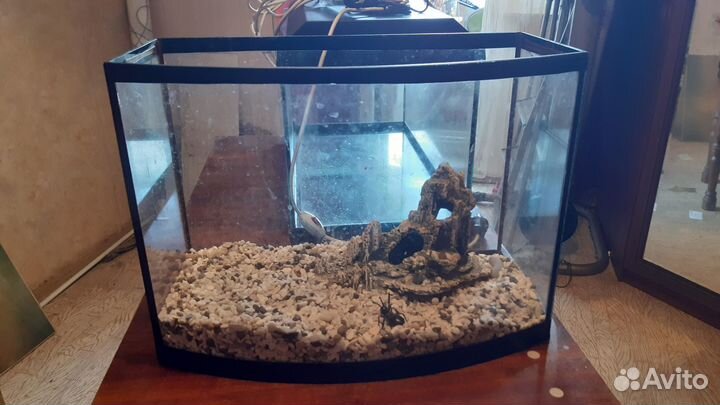 Аквариум бу