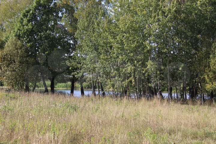 Участок 6,7 сот. (ИЖС)