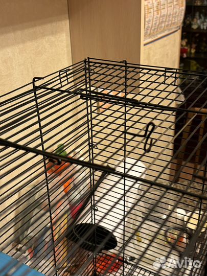 Клетка для крыс