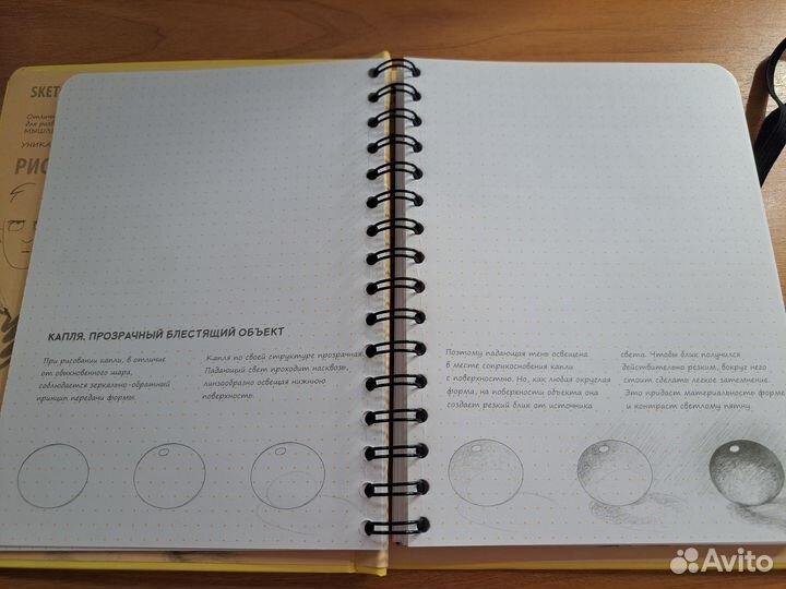 SketchBook: Визуальный экспресс-курс по рисованию