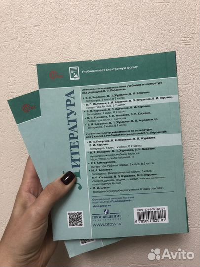 Литература 6 класс ред. Коровиной, изд. 2023 г