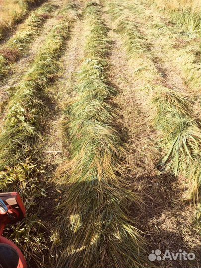 Сено луговое в тюках