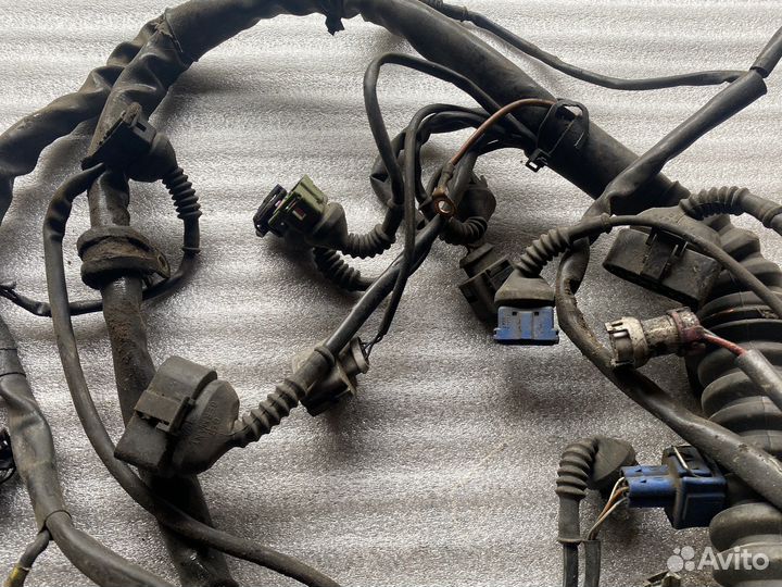 Моторная коса Ади А6 С5 2.4 APS