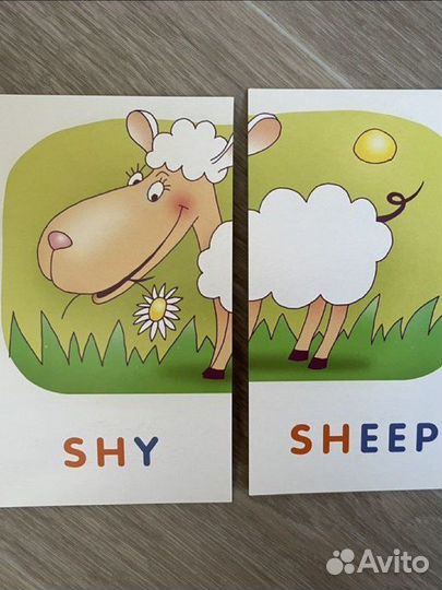 Карточки для изучения английского Fat cat