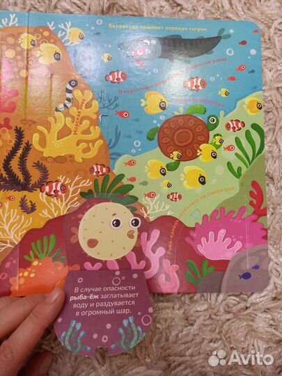 Книга со створками 